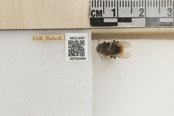 Media type: image;   Entomology 792494 Aspect: Labels